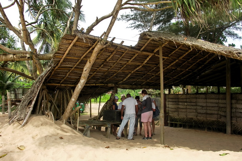 Sri Lanka, Kosgoda, Turtle Farm